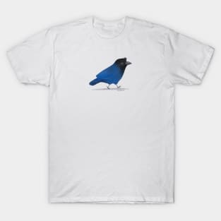 Azure Jay Bird T-Shirt